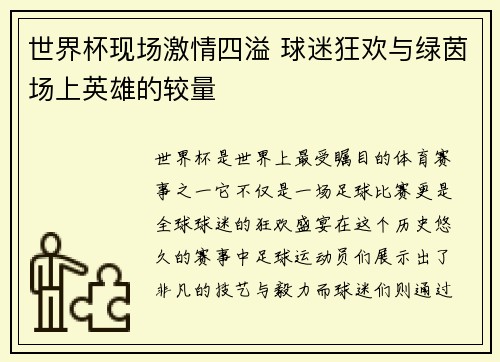 世界杯现场激情四溢 球迷狂欢与绿茵场上英雄的较量